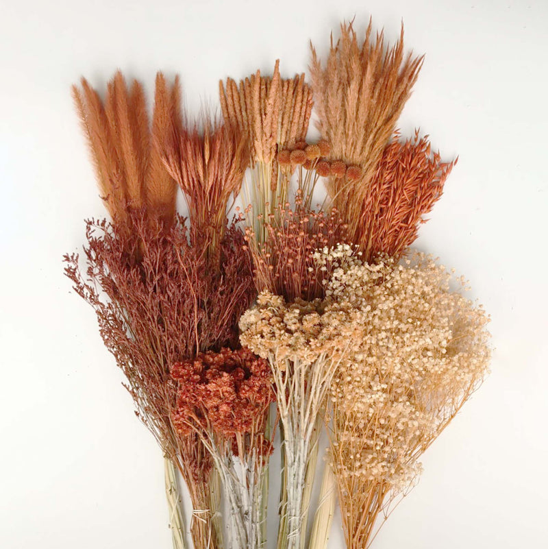 Monochromatic Brown Dried DIY Flower Kit Flat Lay