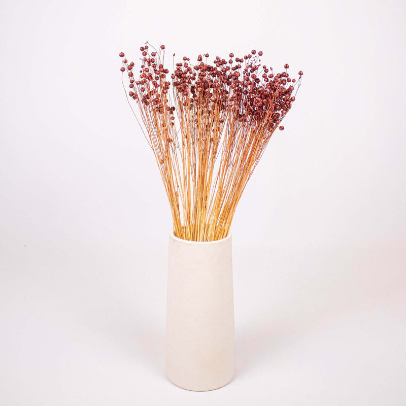 Brown Dried Linum Flower Bunch in Vase