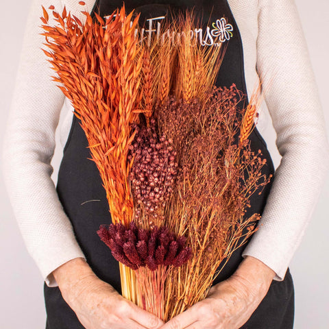 Monochromatic Brown Dried DIY Flower Kit Bunches in Hand