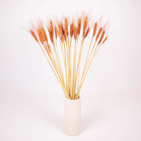 Brown Dried Wheat Flower Bunch in Vase