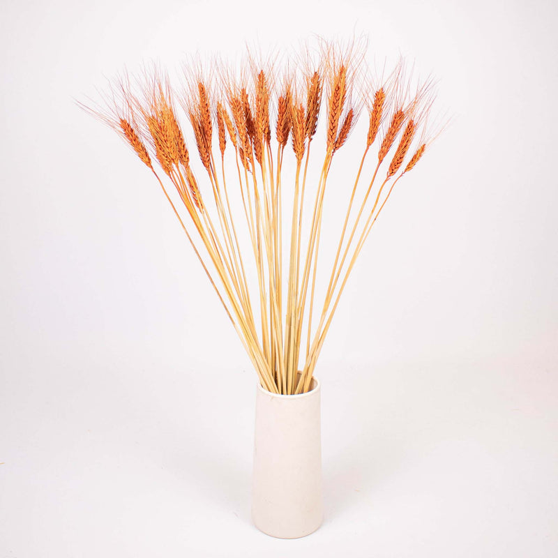 Brown Dried Wheat Flower Bunch in Vase