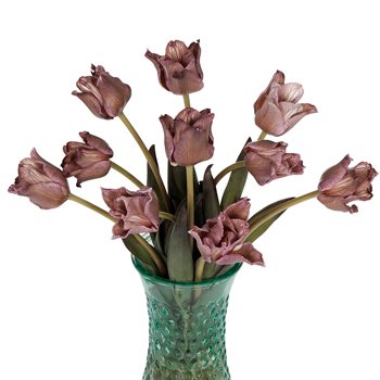 Brownie Lily Tulip Wholesale Flower In a vase