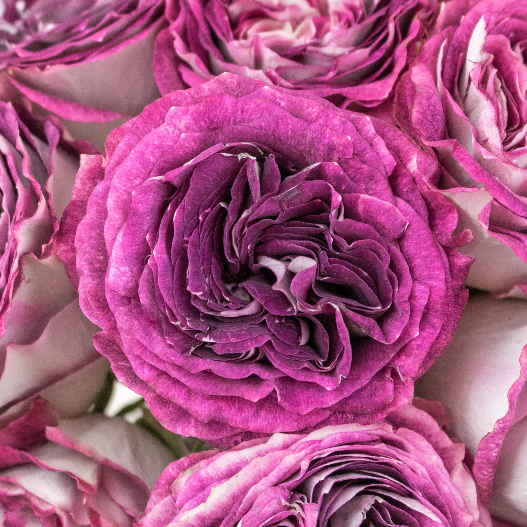 Ready To Go Wholesale Centerpieces Card