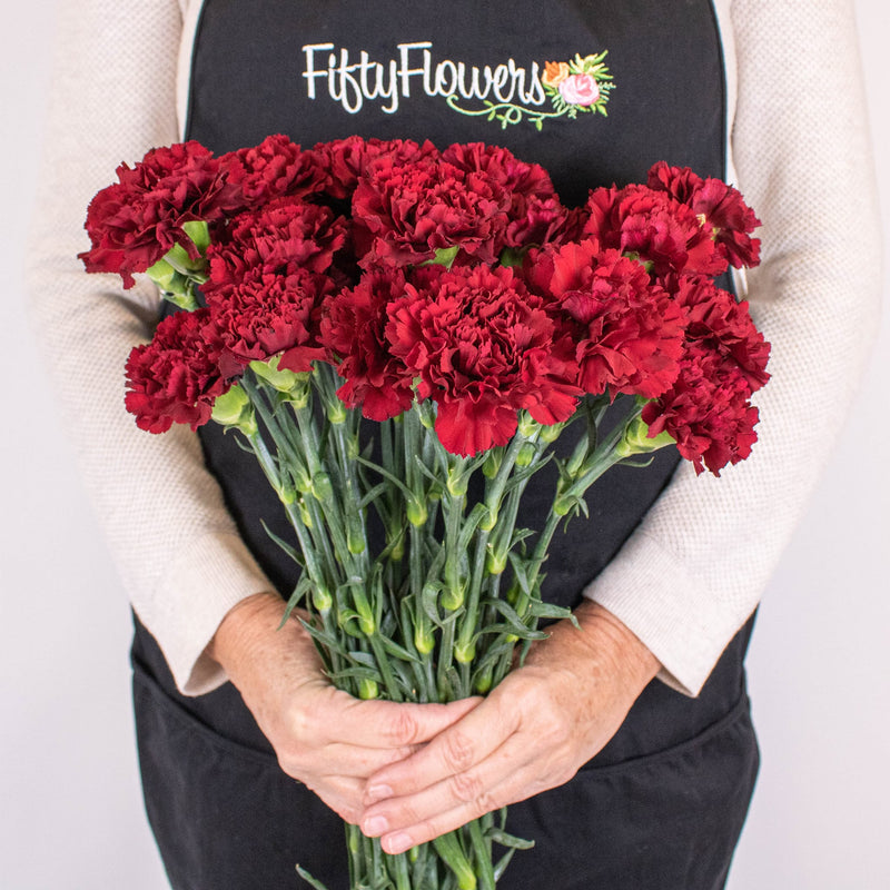 Burgundy CarnationFlower Bunch in Hand