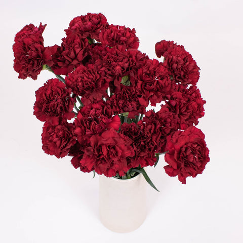 Burgundy Carnation Flower Bunch in Vase
