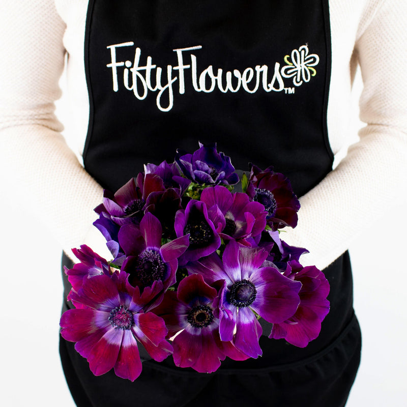 Burgundy Purple Anemone Bunch in Hand