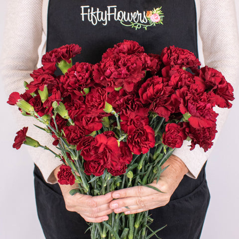 Burgundy Flower Bouquet in Hand