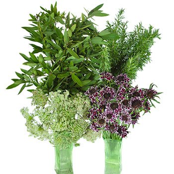 Burgundy Wildflower Filler DIY Flower Kit In a Vase
