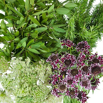 Burgundy Wildflower Filler DIY Flower Kit Up Close