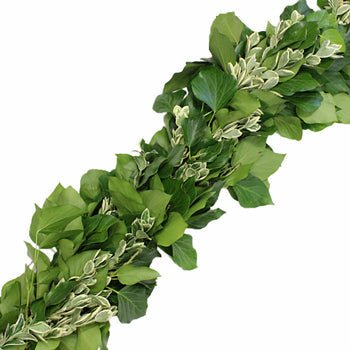 Bush Ivy and Euonymus Fresh Garland