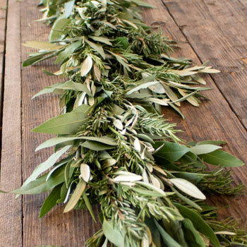 Bay Leaves Rosemary olive fresh garlands close up