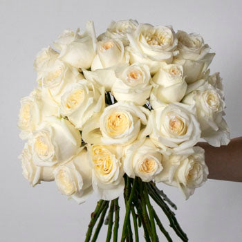 White rose wholesale wedding flowers