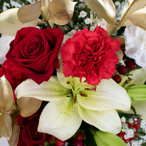 Candy Cane Christmas DIY Flower Kit Up Close