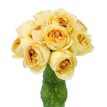 Caramel Antique Garden Wholesale Roses In a vase