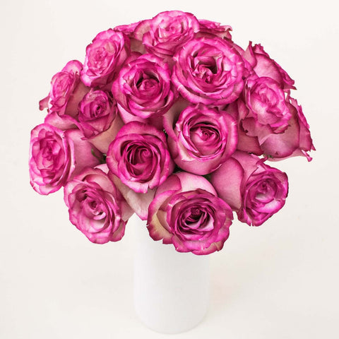 bunch of white roses with pink edges in a vase.