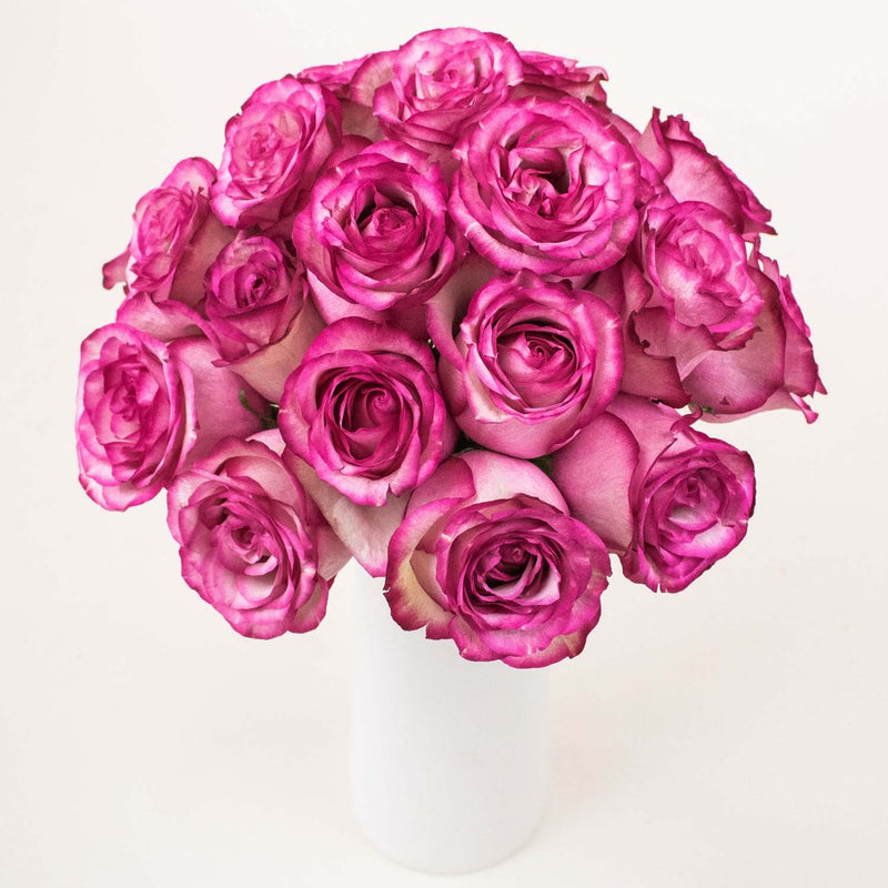 bunch of white roses with pink edges in a vase.
