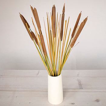Cattail Bulk Filler Flower