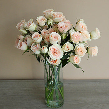 Chablis Light Pink Wholesale Roses In a vase