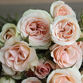 Ready To Go Wholesale Centerpieces Card