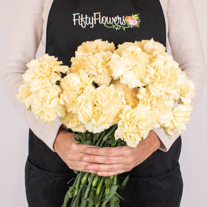 Champagne Wholesale Carnation Flower Bunch in Hand