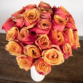 Aphrodites Love Potion Bicolored Roses