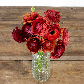 Chocolate Ranunculus Fresh Cut Flower