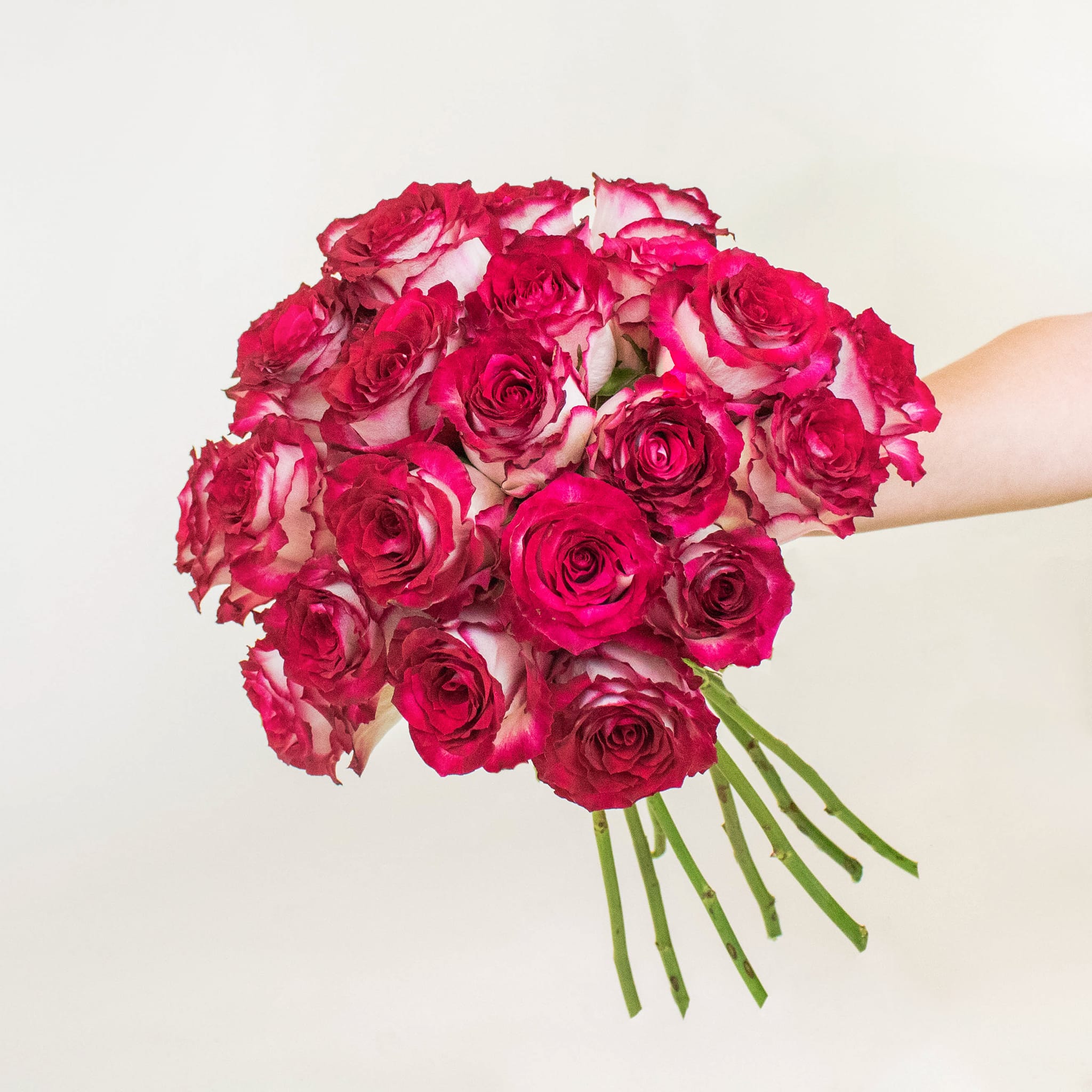 Ready To Go Wholesale Centerpieces Card