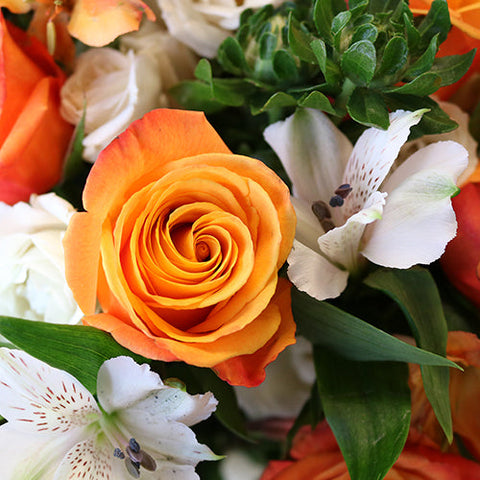 Citrus Creamsicle Orange Flower Bouquet Up Close