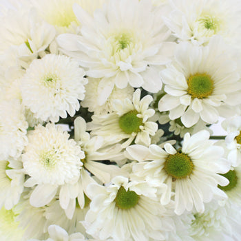 Faithful White DIY Flower Pack