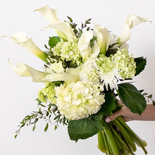 Classy White Flower in Hand