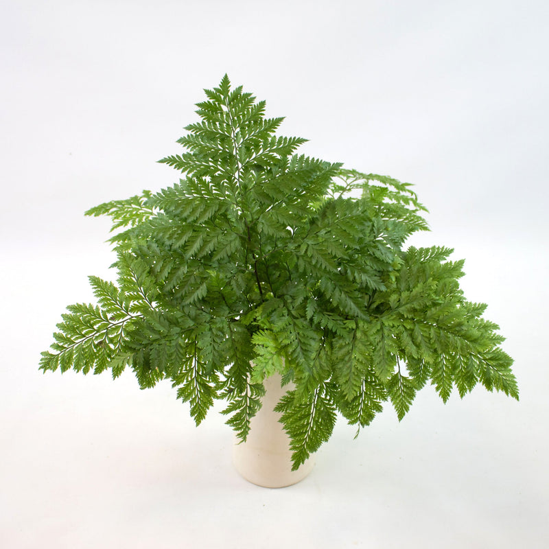 Victorian Lacey Leather Greenery
