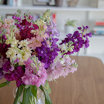 Farm Fresh Flowers For Your House Stock