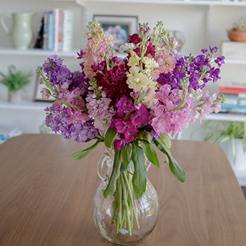 Farm Fresh Flowers For Your House Stock