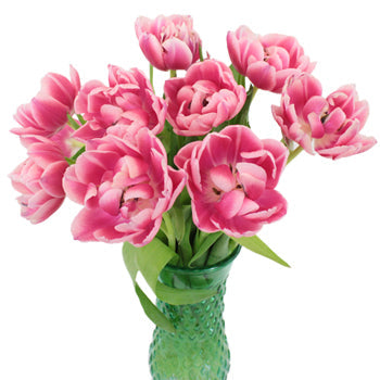 Columbus Pink Double Tulip Wholesale Flower In a vase