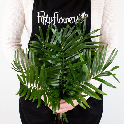 Coontie Greenery Bunch in Hand