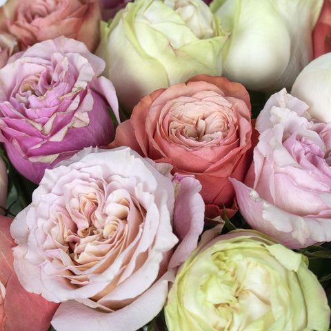Coral Rose Wholesale Flower Bouquet Up Close
