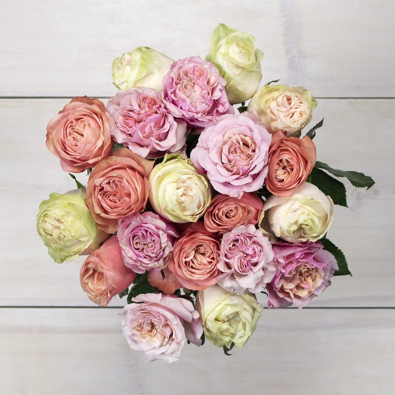 Coral Rose Wholesale Flower Bouquet Top Down