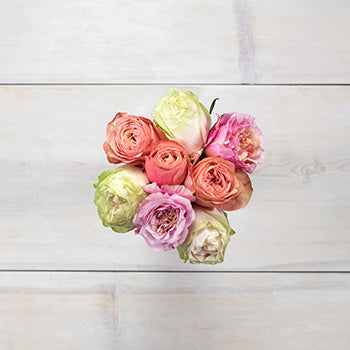 Coral Rose Wholesale Flower Bouquet Top Down
