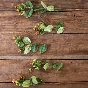 Cream and red hypericum berry bulk flowers