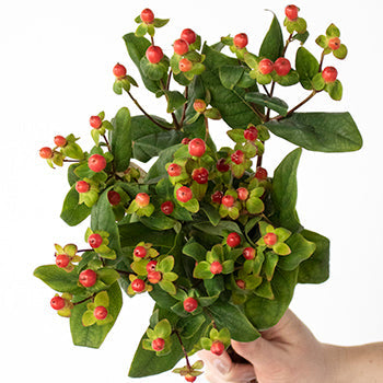 Cream and red hypericum berry wholesale wedding flowers