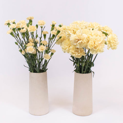 Cream Yellow Flower Kit Recipe