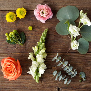 Crushing on Coral Ocean DIY Flower Kit Flatlay