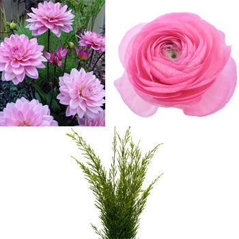 Dahlia and Ranunculus Pink DIY Flower Kit Bunch