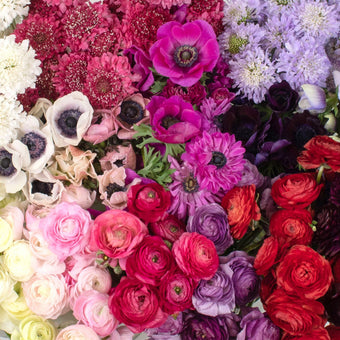 Delicate Garden DIY Flower Combo