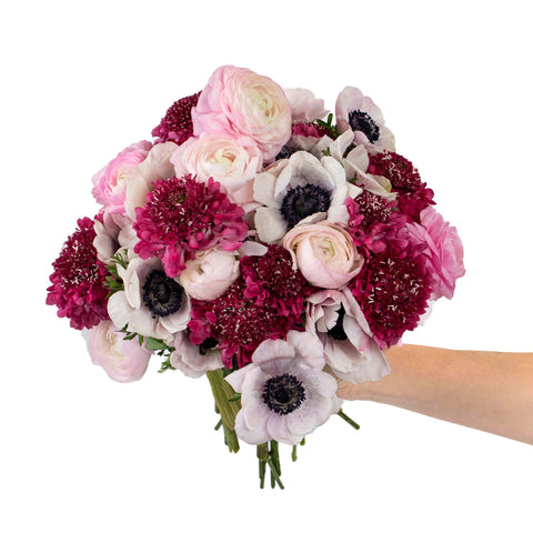 Delicate Multicolor DIY Flower Kit in Hand
