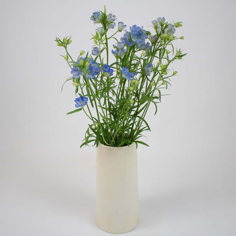 Blue Garden Delphinium Wholesale Flower Bunch in Vase