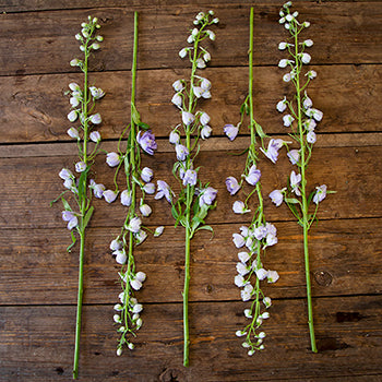 Delphinium Lavender Wholesale Flower FlatLay