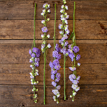 Delphinium Manuela Elatum Light Purple Wholesale Flower FlatLay