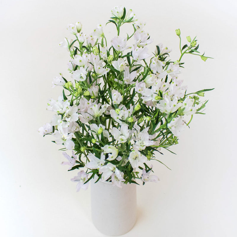 Delphinium Pink Wholesale Flowers In a Vase