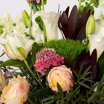 Shift Exclusive Flower Collection